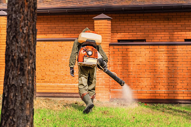 Trusted Cockroach Control service in Lake Hamilton, AR - Nex Pest Control
